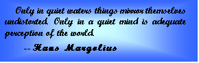 Text Box: Only in quiet waters things mirror themselves undistorted. Only in a quiet mind is adequate perception of the world.      -- Hans Margolius  