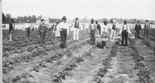 farmers 1800s