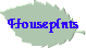 Houseplnts