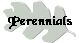 Perennials