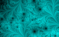 _images/thumb.gal01_frac004.png
