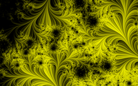 _images/thumb.gal01_frac009.png