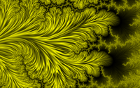 _images/thumb.gal01_frac010.png