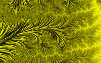 _images/thumb.gal01_frac011.png