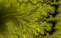_images/thumb.gal01_frac012.png