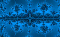 _images/thumb.gal05_frac013.png