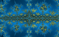 _images/thumb.gal05_frac014.png