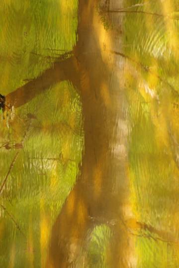 June 2010 193 - Copy.JPG